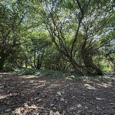 8 Person In Prázdninový dům