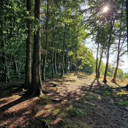 8 Person In Prázdninový dům Børkop