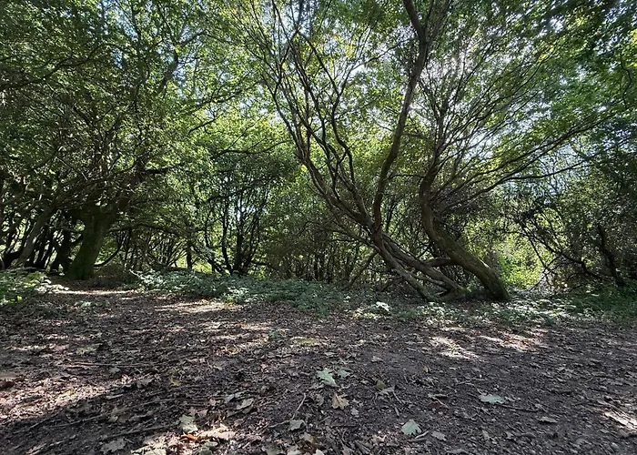 8 Person In Feriehus