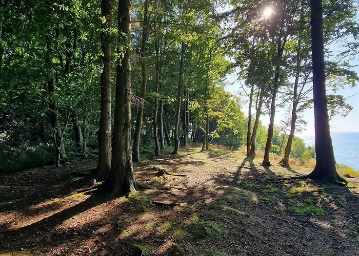 8 Person In Feriehus Børkop